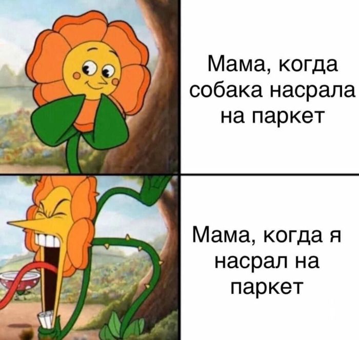 картинка 13604ccd29 qk5xvtck lg