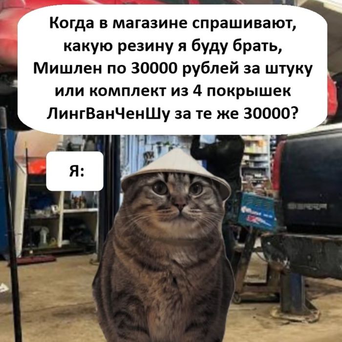 Осенняя антидепрессантная доза: мемы, которые согреют лучше чая