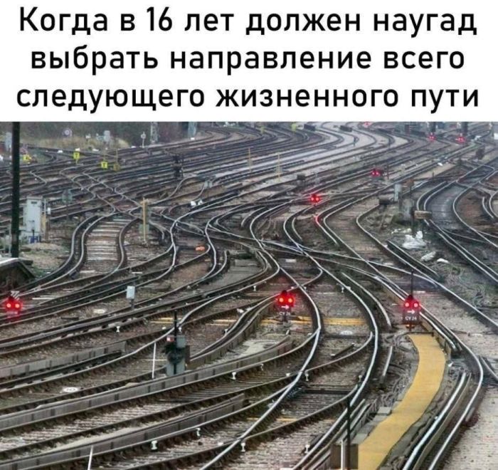 картинка 17200639e8 00000