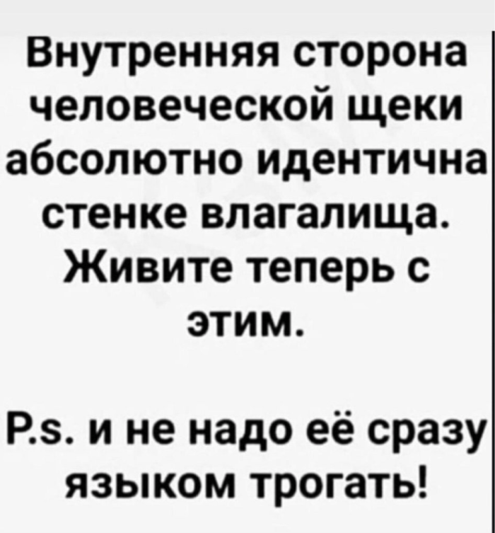 картинка 17d18ac2b6 1792124366