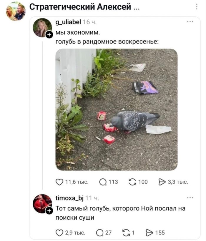 картинка 1db223e95d ostorozhno uroven poshlosti zashkalivaet 11