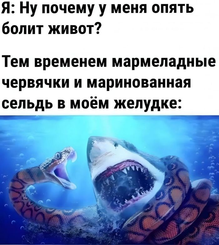 Подборка мемов, над которыми мы хохотали до слёз — теперь ваша очередь 😄