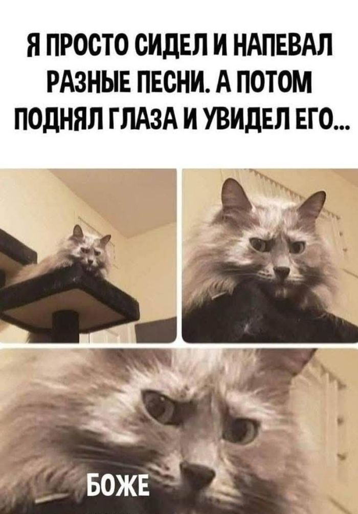 картинка 1e28ea81f9 ostorozhno kontent ne dlja slabonervnyh 20