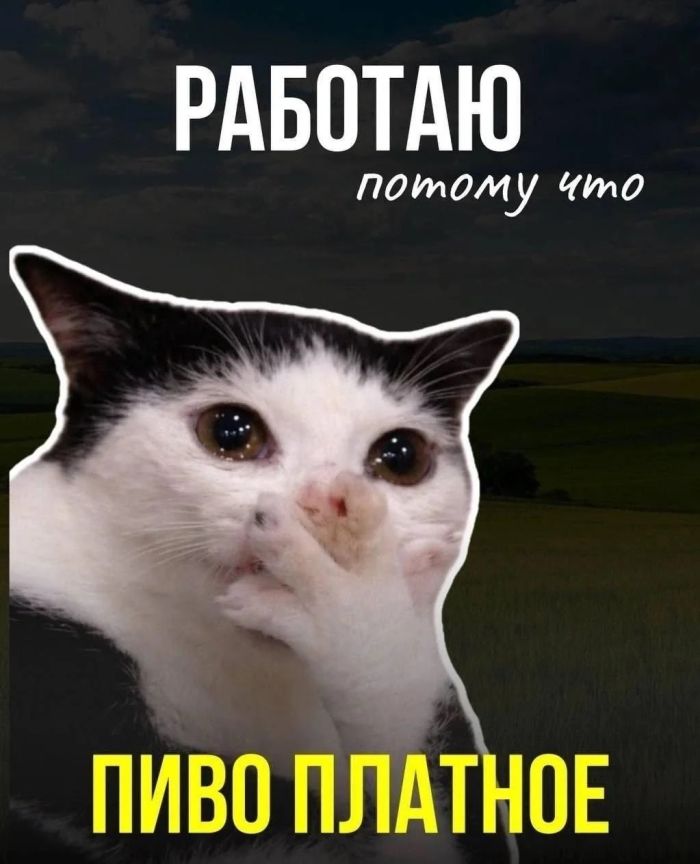 картинка 1e5f9a84b8 ostorozhno uroven cinizma zashkalivaet 11