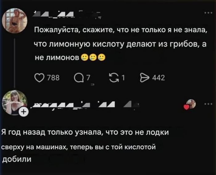 Юмор, за который нас точно осудят (но мы не против) когото, Говорят, шутки, аморальные, абсолютно, неполиткорректные, любитеВнимание, ищете, добрые, лучше, котиков, грани, закройте, вкладку, прямо, сейчас, Здесь, только, Пошлые, которые