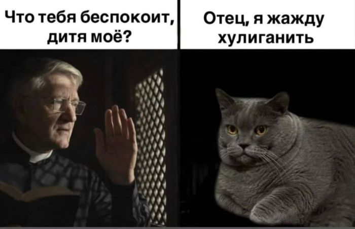 картинка 20fe44db97 preduprezhdaem jetot kontent ne dlja vseh 17