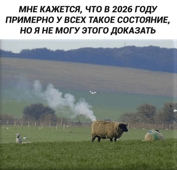 картинка 21c383648d kogda kalendar podmigivaet a kofe sdaetsja spasaemsja jumorom v seredine nedeli 8