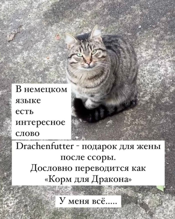 картинка 230e3ddb74 21345982