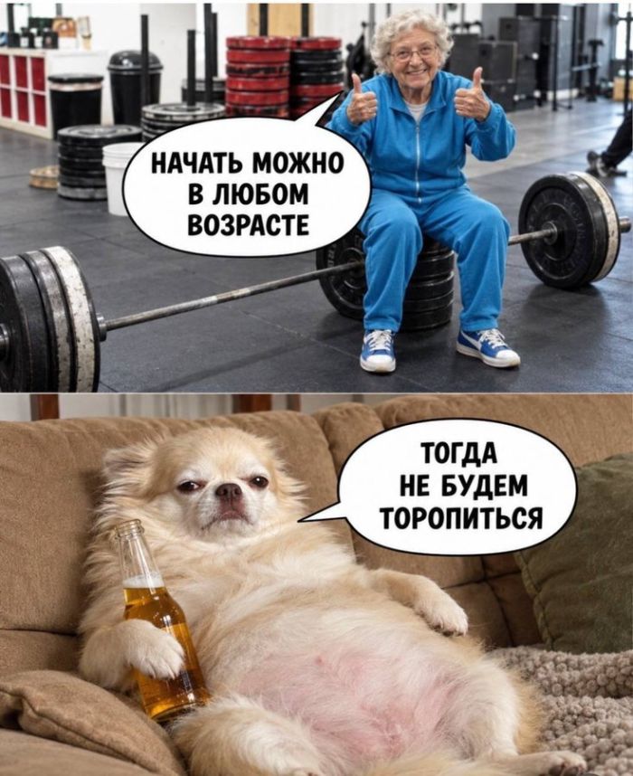 картинка 25914eb97a 0000000