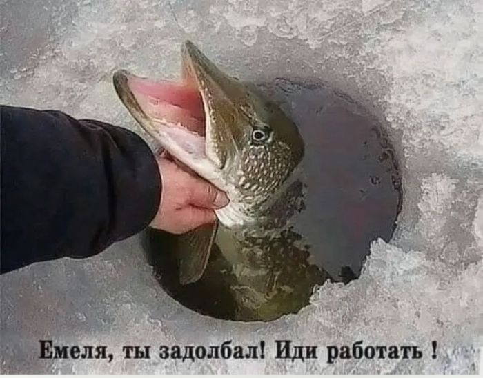 картинка 25bcd3d5b3 21345951
