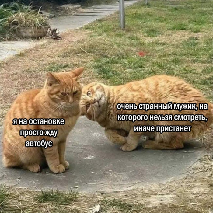 Пятница пришла — время выдохнуть! 🚀