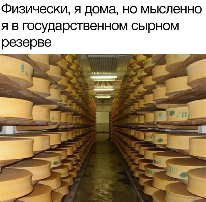 картинка 32fbc087a8 sreda stala jarche svezhaja porcija memov i foto chtoby dotjanut do vyhodnyh s ulybkoj 5