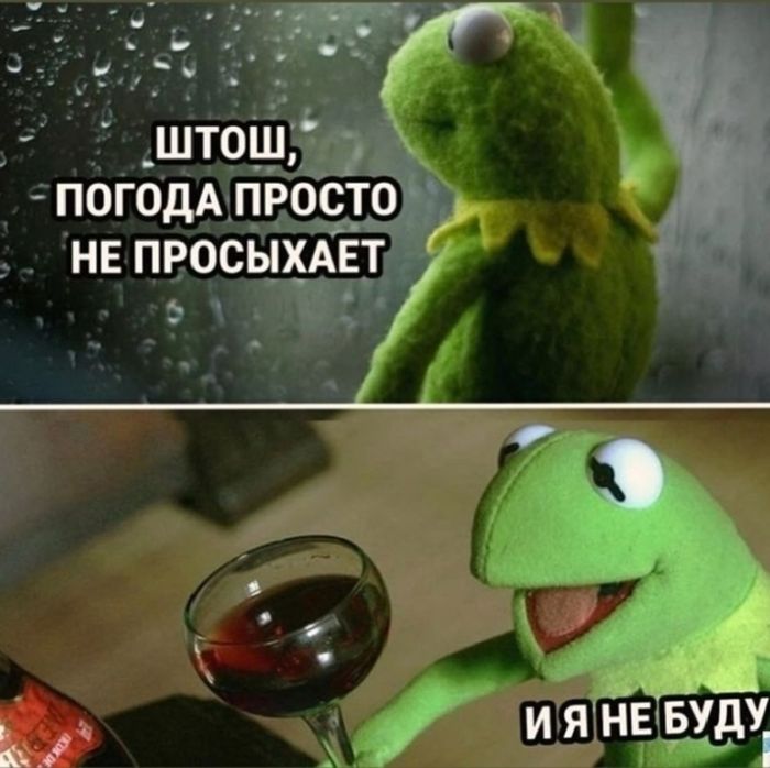 Сборник лучших приколов для поднятия настроения в маленькую пятницу!