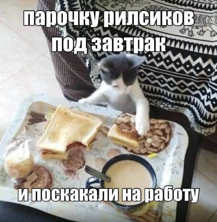 Мемы, которые спасают день станет, хочется, любимые, веселее, маленькая, пятница, совсем, близкоЛистайте, подборку, выбирайте, самые, удачные, кадры, сохраняйте, пересылайте, обязательно, чуточку, самому, другу, понятно