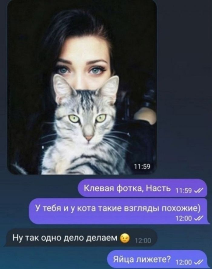 картинка 38d386c7f3 kogda smejatsja ne polozheno a uderzhatsja nevozmozhno podborka derzkih kommentariev 7