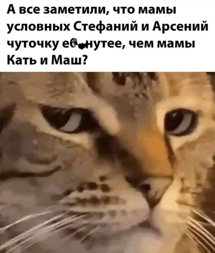 картинка 3ab2b19a8d 1792508915