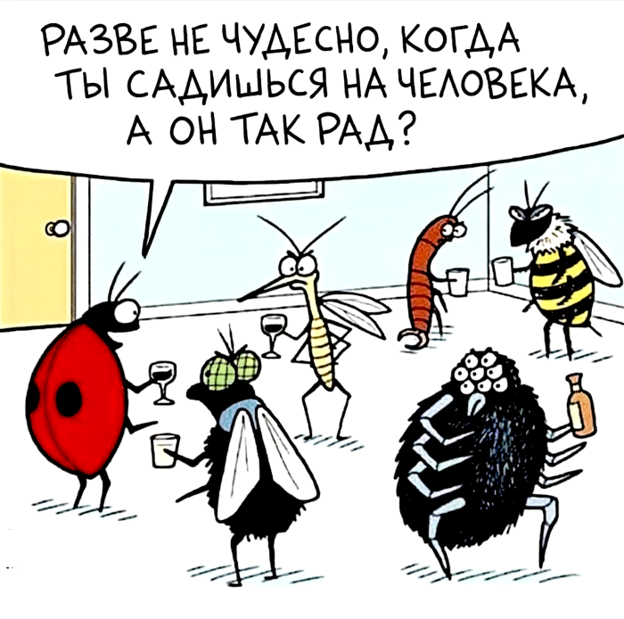 картинка 40d744d084 000000000000000000