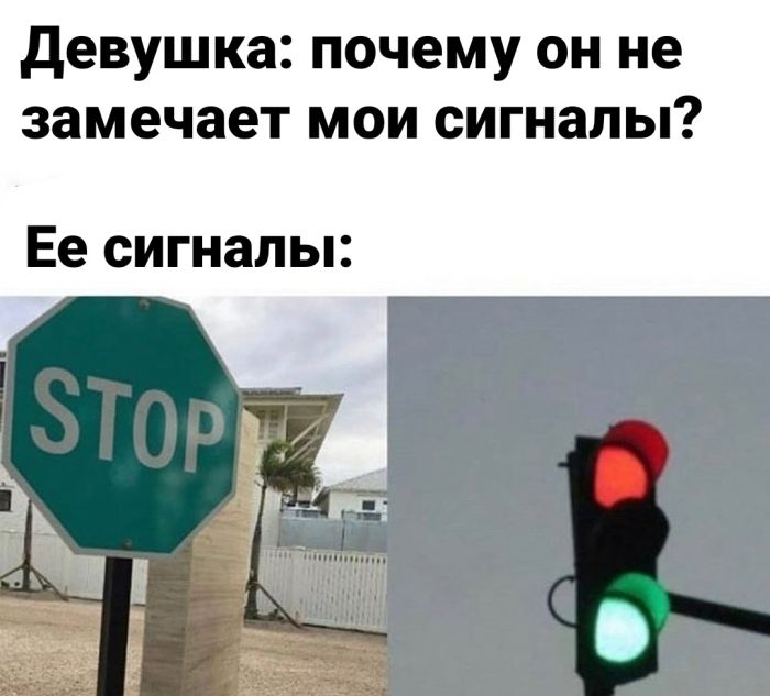картинка 426f3a959a 00000000