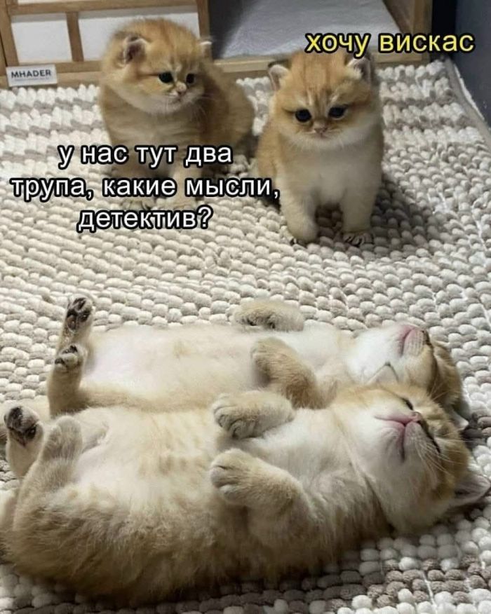 картинка 44456aef7b 00000