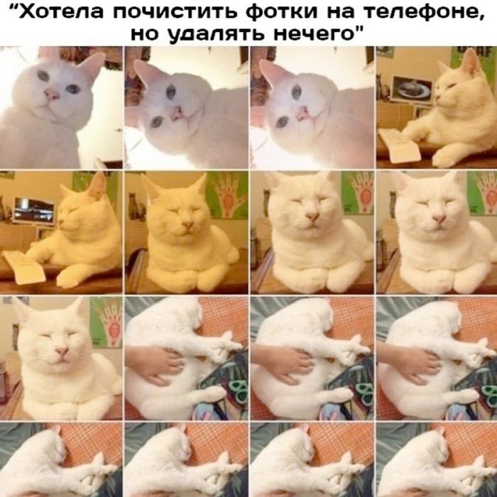 картинка 44d84ff18f 21345919