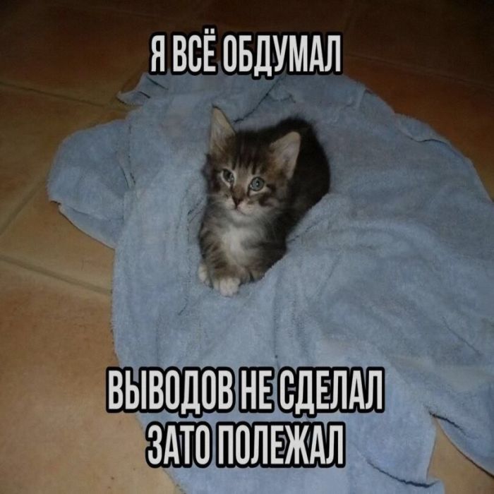 картинка 45cec7232c zarjazhaemsja pozitivom 16