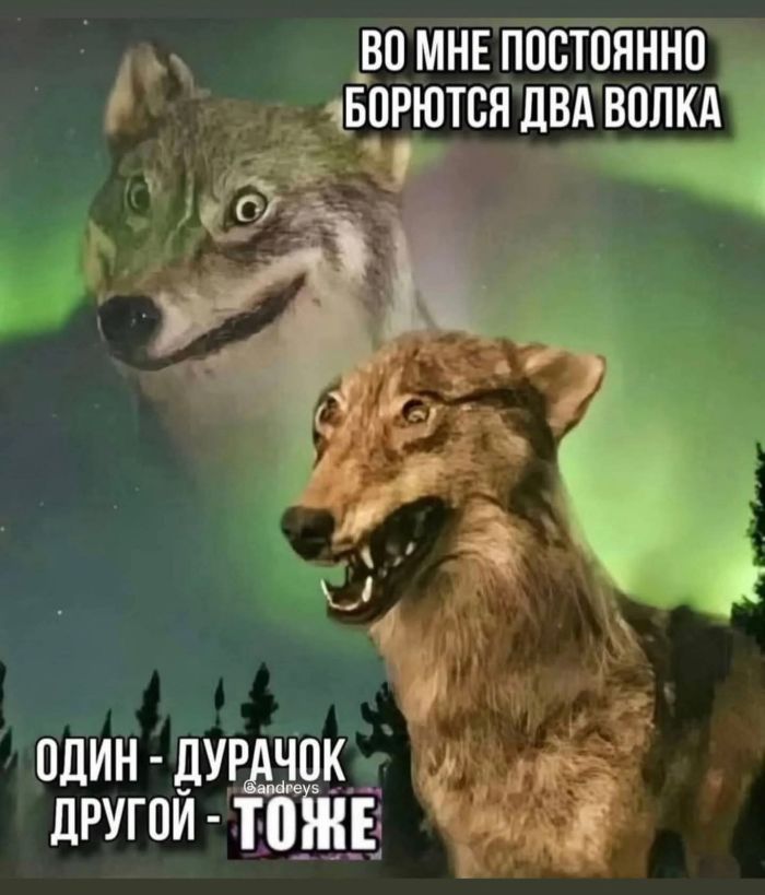 картинка 48b1015964 nu chto zavarite sebe chego krepkogo i prigotovtes uletat v ad 19