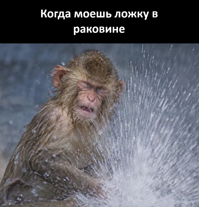 картинка 4cb767105a 00000000000000
