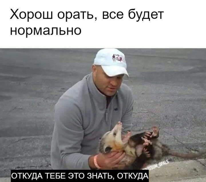 Заряжаемся позитивом! ⚡️