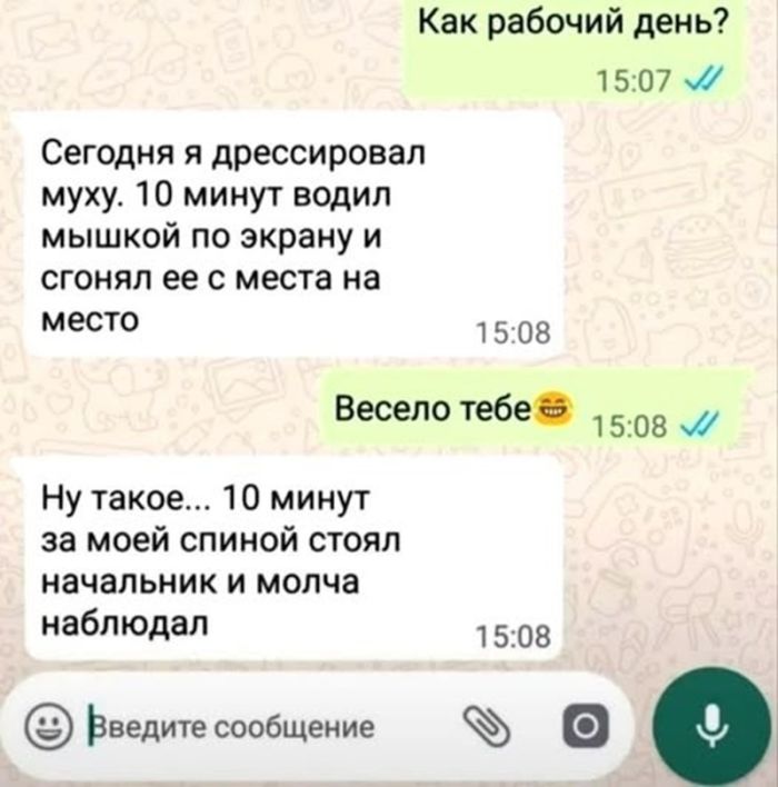 Юмор, за который нас точно осудят (но мы не против) когото, Говорят, шутки, аморальные, абсолютно, неполиткорректные, любитеВнимание, ищете, добрые, лучше, котиков, грани, закройте, вкладку, прямо, сейчас, Здесь, только, Пошлые, которые