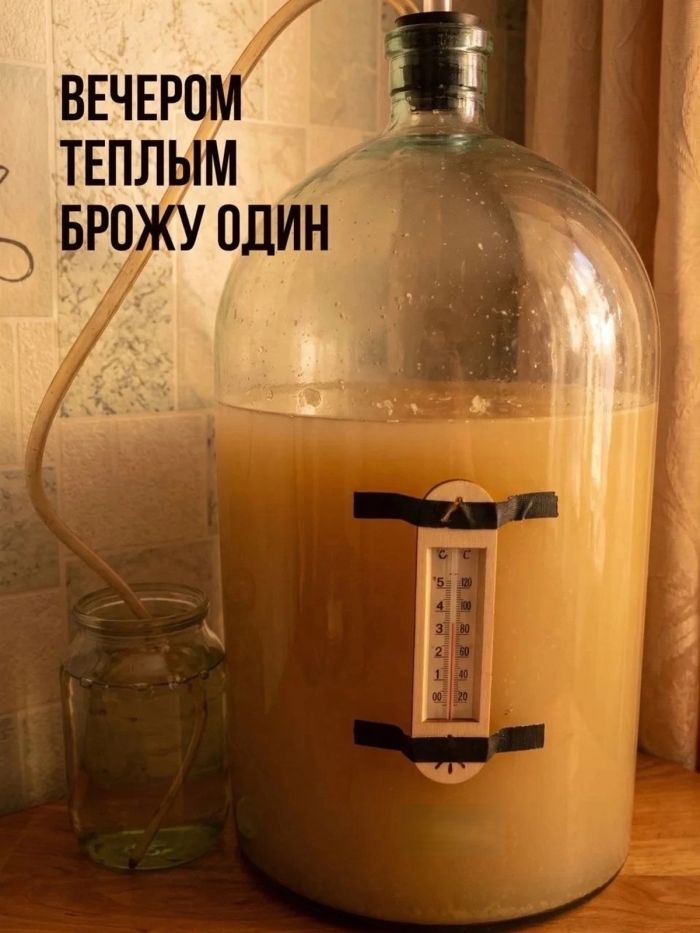 картинка 604fb62cd8 slabonervnym vhod vospreschen 5