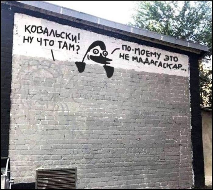 картинка 6354f0941f 21345935