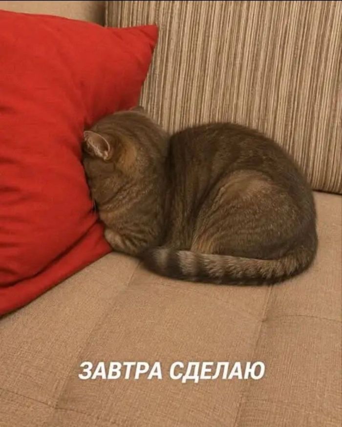 картинка 6372b5ef53 00