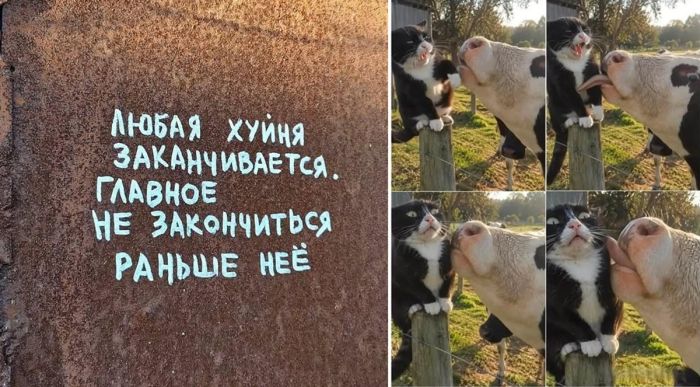 Пятница: официальный день хорошего настроения! ✨
