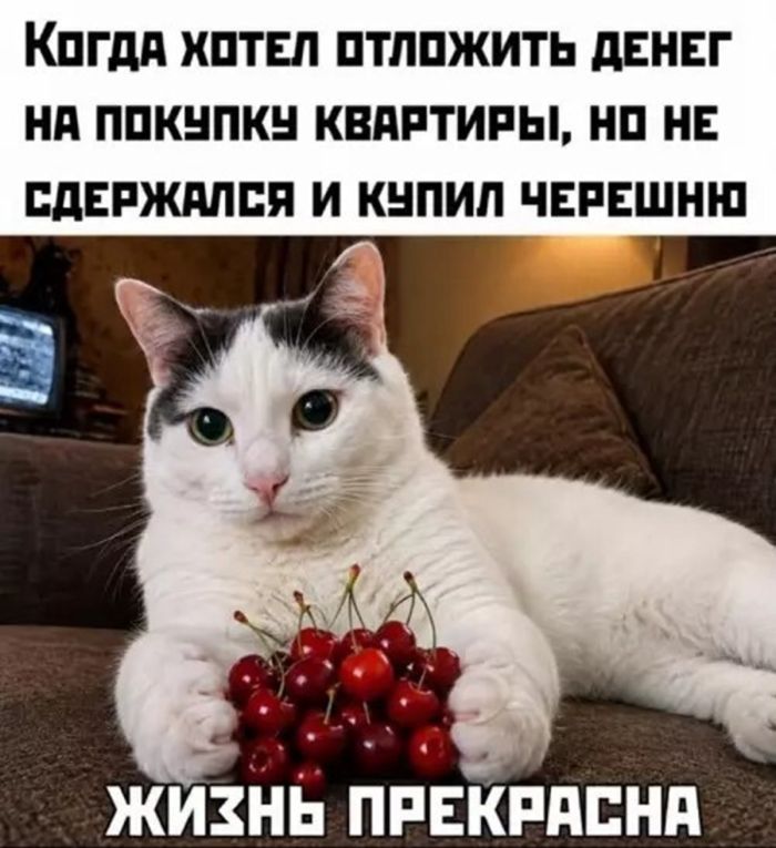 Пятница: миссия выполнима! 😎
