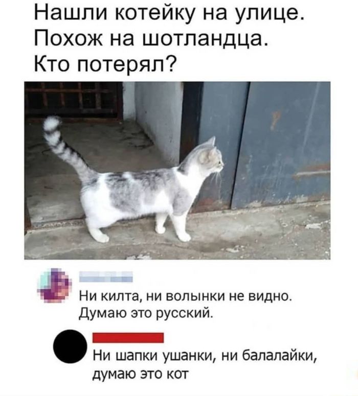 картинка 8010b68025 ostorozhno uroven poshlosti zashkalivaet 13