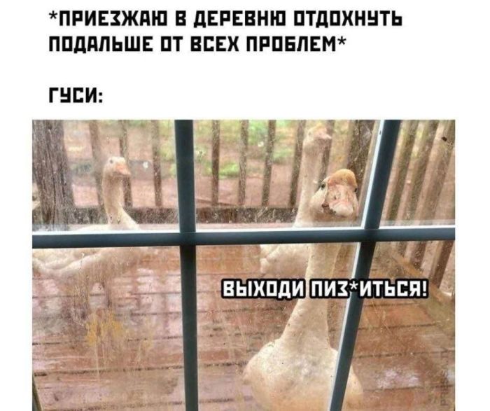 Мемы, которые спасают день станет, хочется, любимые, веселее, маленькая, пятница, совсем, близкоЛистайте, подборку, выбирайте, самые, удачные, кадры, сохраняйте, пересылайте, обязательно, чуточку, самому, другу, понятно