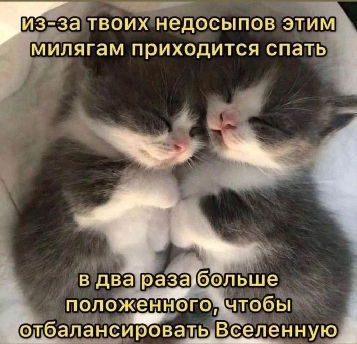 Мемы, которые спасают день станет, хочется, любимые, веселее, маленькая, пятница, совсем, близкоЛистайте, подборку, выбирайте, самые, удачные, кадры, сохраняйте, пересылайте, обязательно, чуточку, самому, другу, понятно
