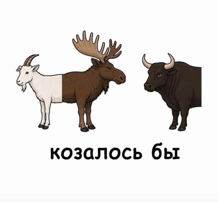 картинка 832b79e0fd 1791474755