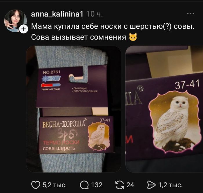 картинка 8388941055 zabyli kak ulybatsja po utram my tut sobrali dlja vas porciju chistejshego pozitiva 9