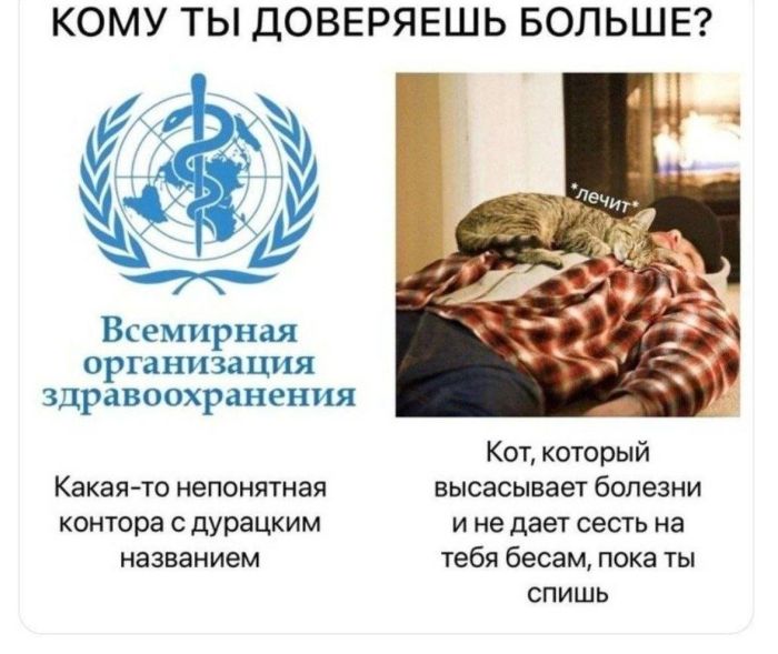 картинка 8843243628 zabyli kak ulybatsja po utram my tut sobrali dlja vas porciju chistejshego pozitiva 4