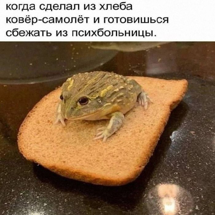 картинка 8a8670d14a zarjazhaemsja pozitivom 14