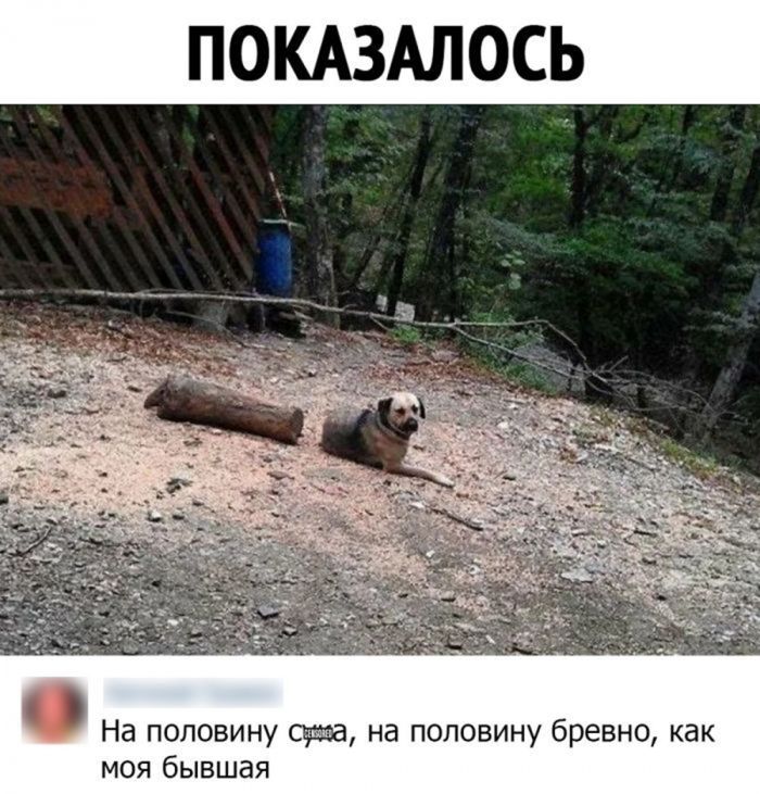 картинка 8d4be14e3c hotite dobavit jarkih krasok v svoj den u nas est otlichnoe reshenie 0