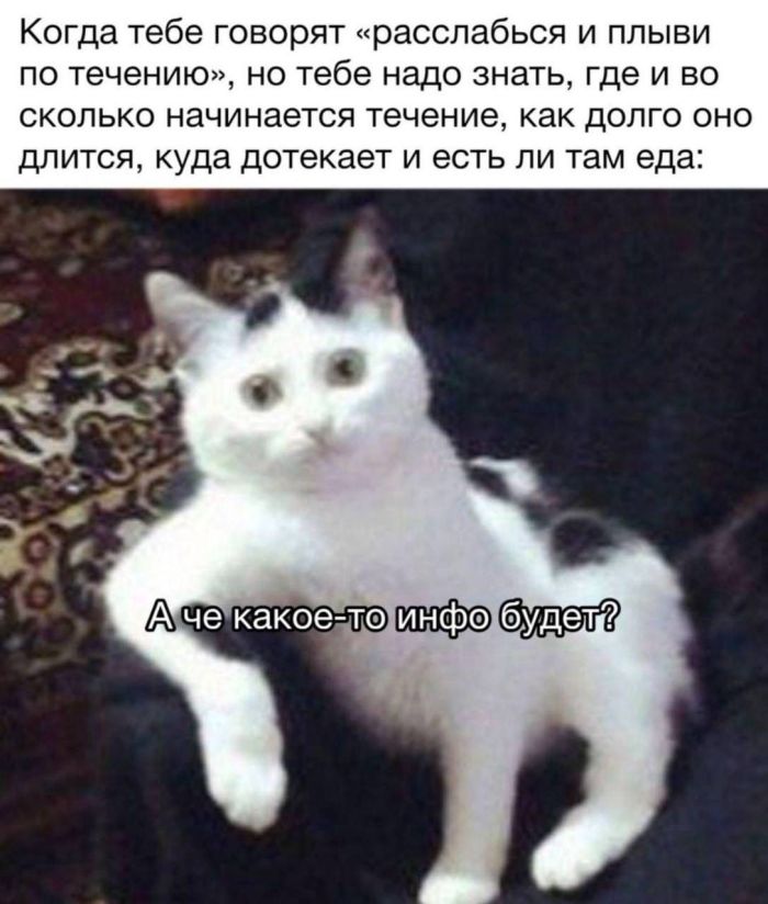 Мемы, которые спасают день станет, хочется, любимые, веселее, маленькая, пятница, совсем, близкоЛистайте, подборку, выбирайте, самые, удачные, кадры, сохраняйте, пересылайте, обязательно, чуточку, самому, другу, понятно