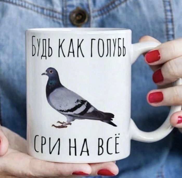 картинка 9156d15ad2 ostorozhno kontent ne dlja slabonervnyh 2