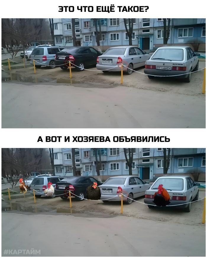 картинка 9486c2a092 00000