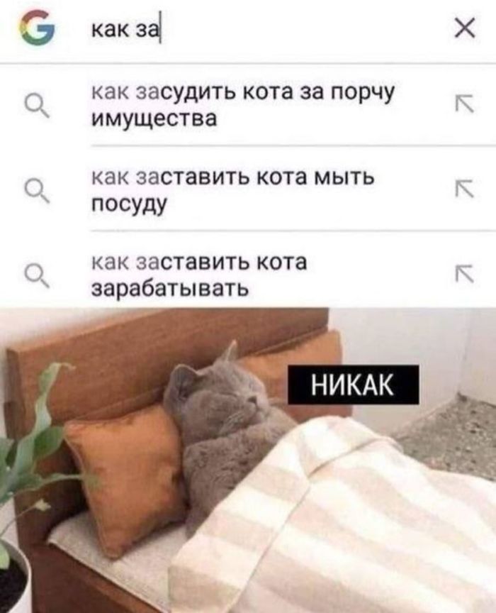 картинка 97bc315792 hotite dobavit jarkih krasok v svoj den u nas est otlichnoe reshenie 15