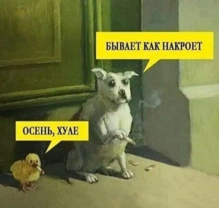картинка 9c97235b22 podborka memov dlja teh u kogo chernyj jumor jeto zaschitnyj mehanizm 7