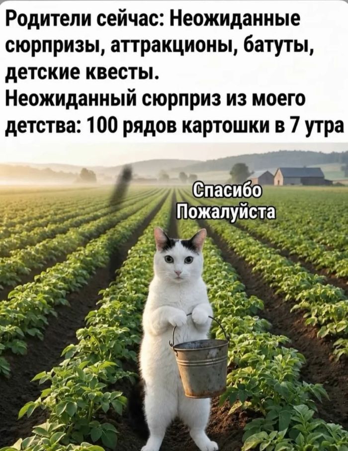 картинка 9ea7e23471 1792213336