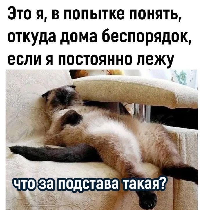 картинка 9fad5d90d5 0000000000