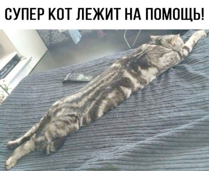 картинка a101e2f8c7 pjatnichnaja doza pozitiva 5